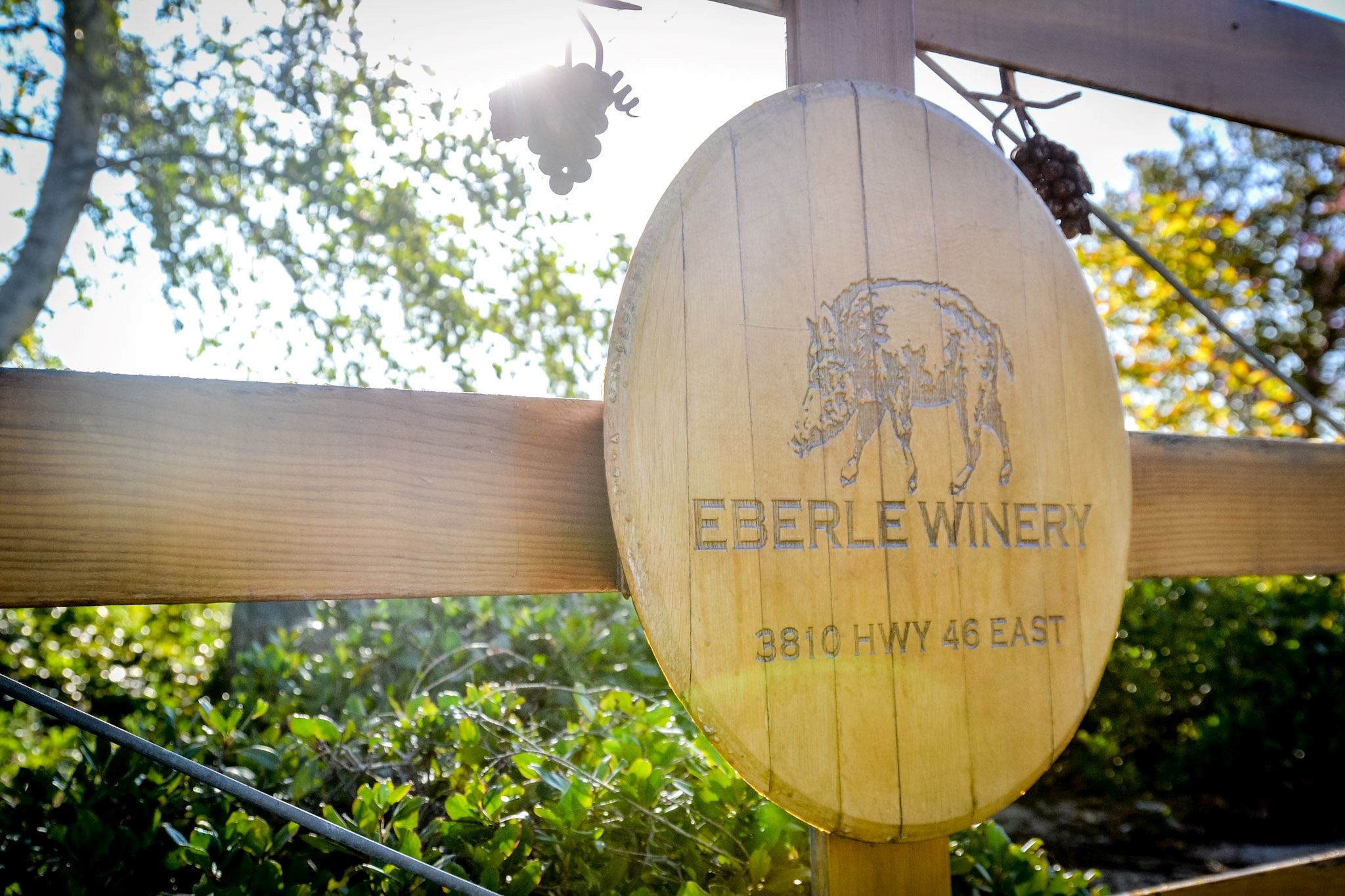 Eberle Winery - 2