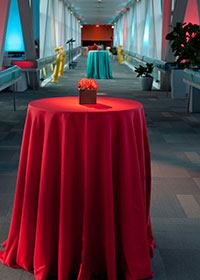 Starlite Events at the Saint Louis Science Center - 6