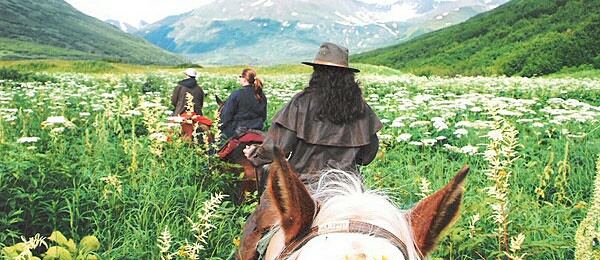 Alaska Horsemen Trail Adventures - 4
