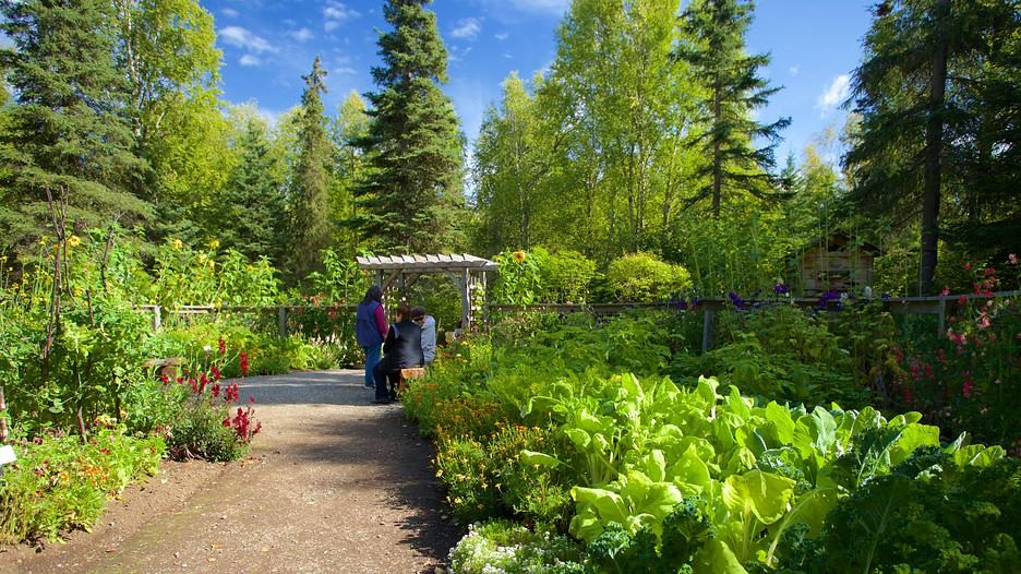 Alaska Botanical Garden - 5