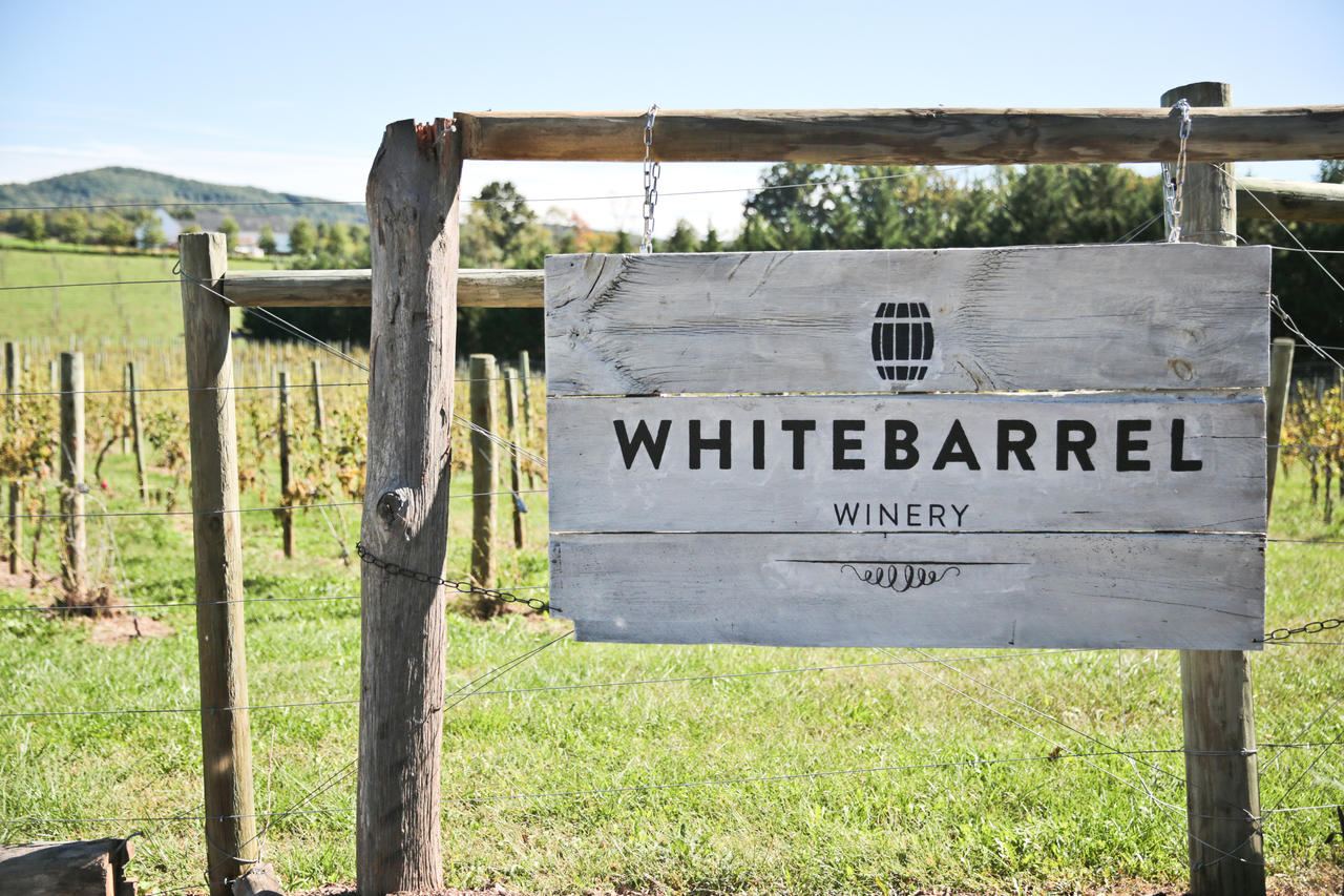 Whitebarrel Winery - 1