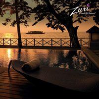 The Zuri Kumarakom Kerala Resort and Spa - 7