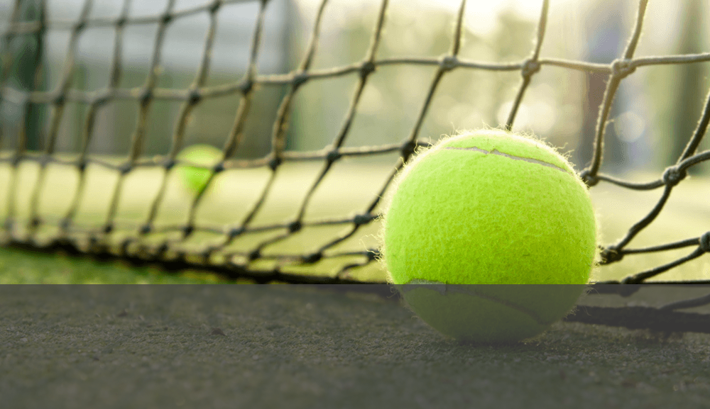 Crowne Plaza Tennis and Golf Resort - Asheville - 5