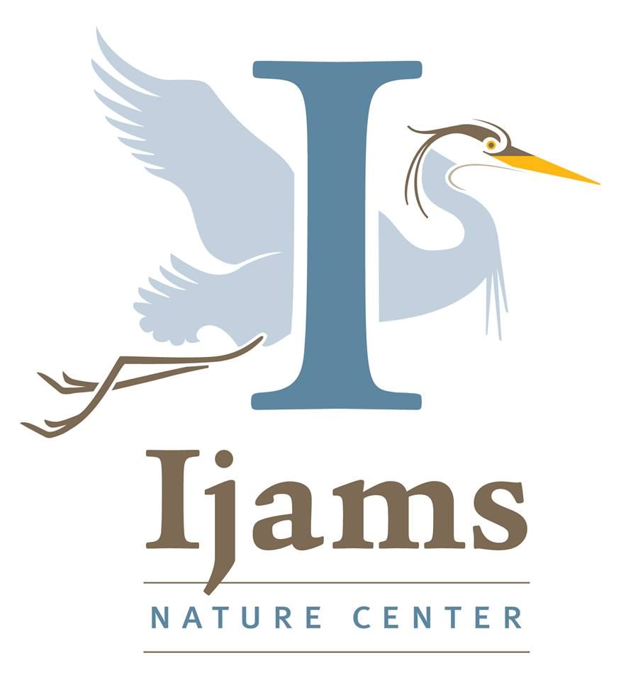Ijams Nature Center - 7