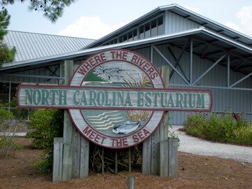 North Carolina Estuarium - 5