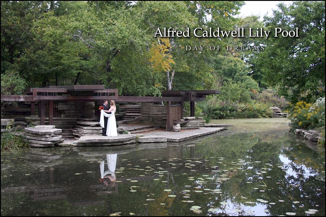 Alfred Caldwell Lily Pool - 1