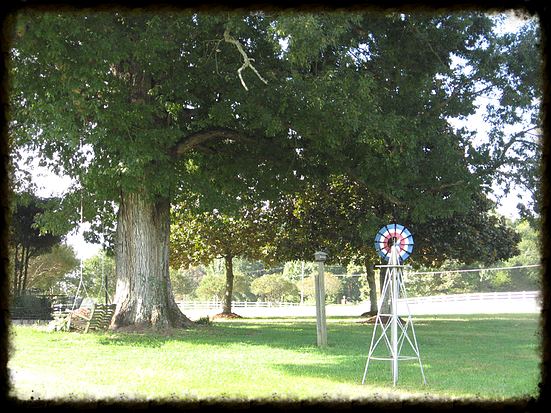 Clearview Farm Weddings and Events, LLC - 2