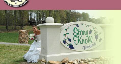Stony Knoll Vineyards - 7