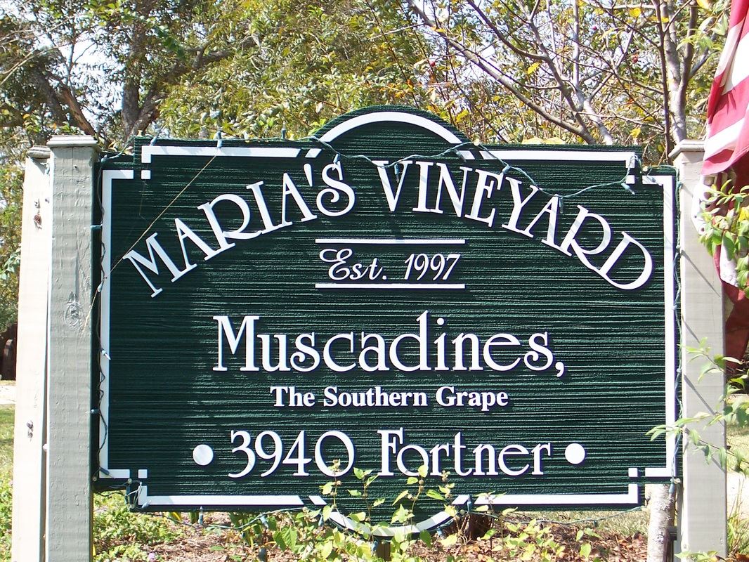 Maria's Vineyard - 1