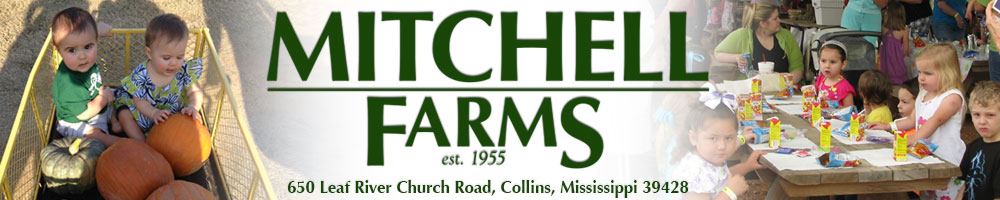 Mitchell Farms - 2