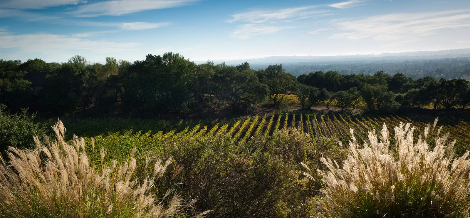 Paradise Ridge Winery - 3