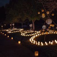 Japanese Friendship Gardens Of Phoenix - 7