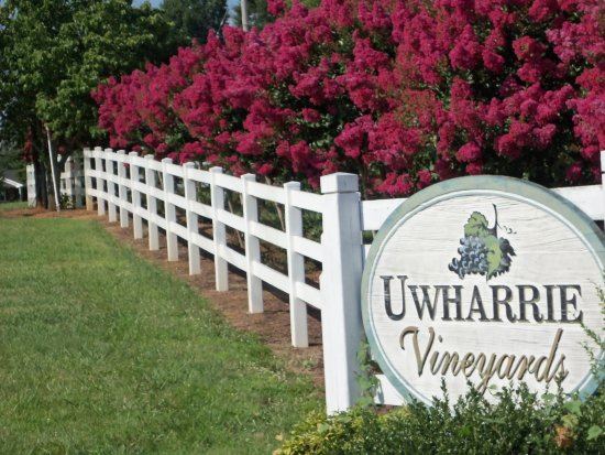 Uwharrie Vineyards - 2