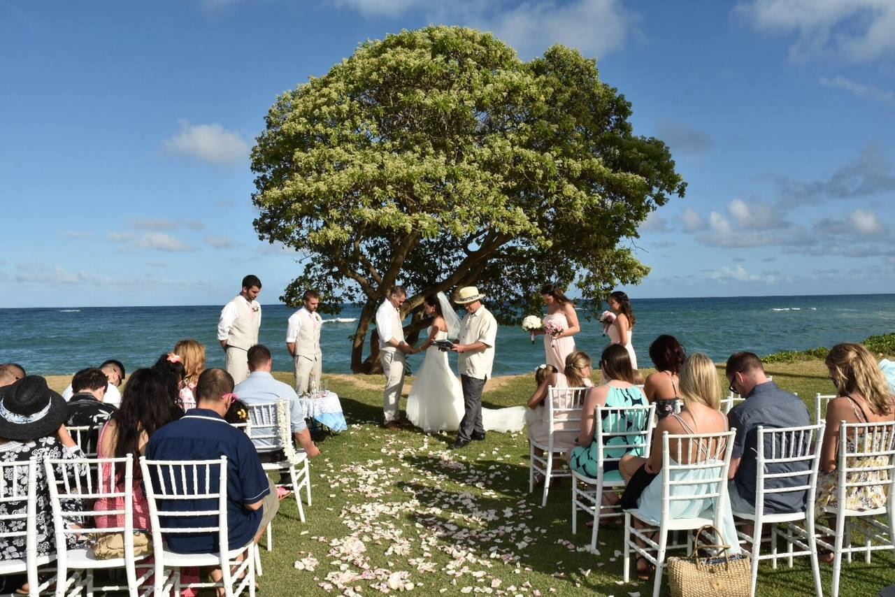 Island Weddings and Blessings - 4