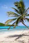 Caribbean Sailings - weekly cruises - 4
