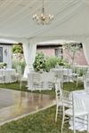 Affordable & Luxury Event Rentals - 4