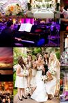 Events by Cassie Weddings & Events - 4