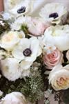 Botanica Wedding Flowers Studio - 1
