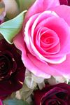 Rose Petals Florist - 5