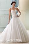 Bridal Elegance - 4