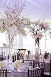 The Floral and Function Decor Company - 2