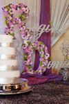 Occasion Services & Events - 3