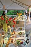 MOSAIC Catering + Events - 7