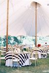 Whim Event and Tent Rentals - 3