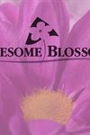 Awesome Blossom - 1