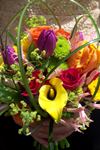Design House of Flowers - 1