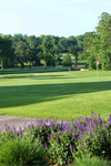 Brookridge Golf And Country Club - 3
