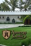 Amnerys Castle - 1
