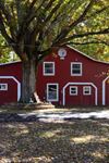 The Barn at Garrad Circle LLC - 5