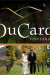 DuCard Vineyards - 1