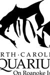 NC Aquarium on Roanoke Island - 1