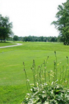 Maple Dale Country Club - 1