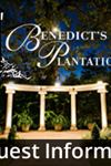 Bendict's Plantation - 4