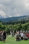 Mt View Orchards Weddings - 2