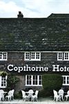 Copthorne Hotel London Gatwick - 1