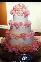 Susie's Specialty Wedding Cakes, in Kingsport, Tennessee