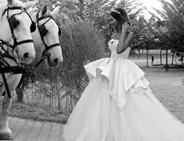 Tafaria Castle & Country Lodge is a  World Class Wedding Venues Gold Member
