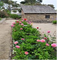 Old Whaling Station Historic Adobe And Gardens is a  World Class Wedding Venues Gold Member