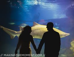 Greater Cleveland Aquarium is a  World Class Wedding Venues Gold Member