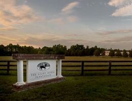 The Light Horse Plantation is a  World Class Wedding Venues Gold Member