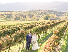 Veritas Vineyard and Winery is a  World Class Wedding Venues Gold Member