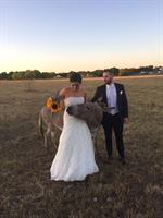 Lucky Spur Ranch Retreat is a  World Class Wedding Venues Gold Member