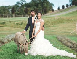 Destiny Hill Farm is a  World Class Wedding Venues Gold Member