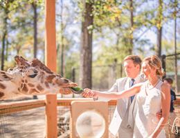 Birmingham Zoo is a  World Class Wedding Venues Gold Member