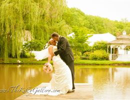 The Gardens At The Kelly Gallery is a  World Class Wedding Venues Gold Member