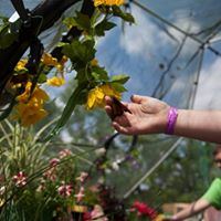 Butterfly Dome Experience - 1